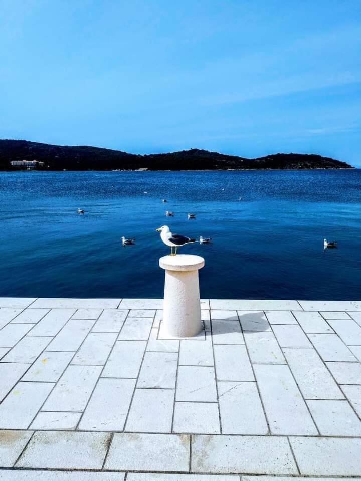 Apartman Karlo Rukavac  Buitenkant foto